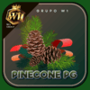 Logo da PINECONEPG